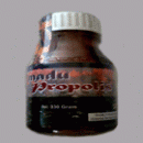 Madu Propolis